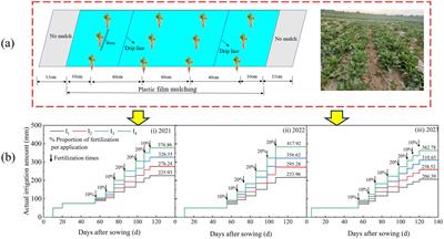 Compound effects of biochar application and irrigation on soil water and temperature transport